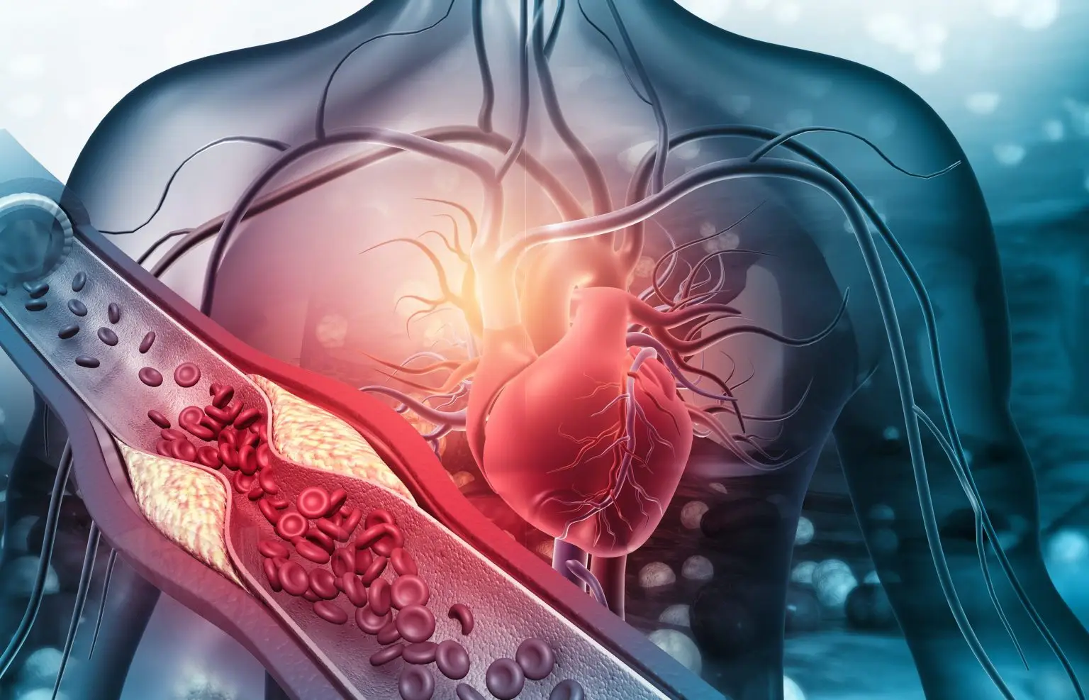 Allena il tuo cuore e le tue arterie: ecco il metodo rapido per migliorare subito la salute cardiovascolare