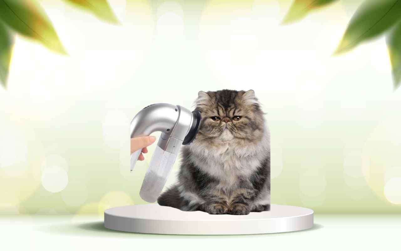 Elimina i peli degli animali in casa: prova ora la potenza di SpazzolAmica